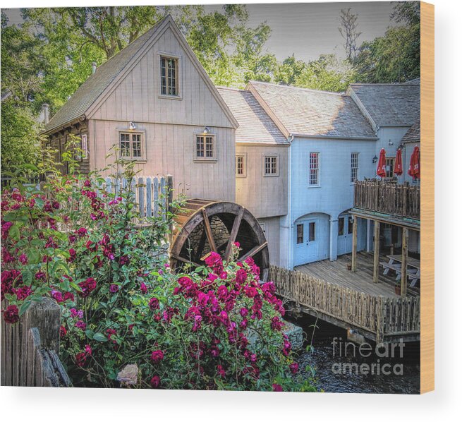 Roses Wood Print featuring the photograph Roses at the Plimoth Grist Mill by Janice Drew