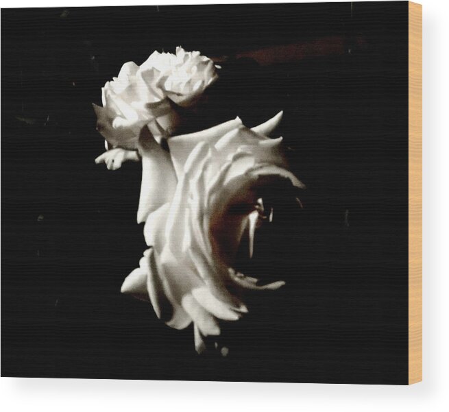 Diane M Dittus Wood Print featuring the photograph Roses in Moonlight 8 by Diane M Dittus