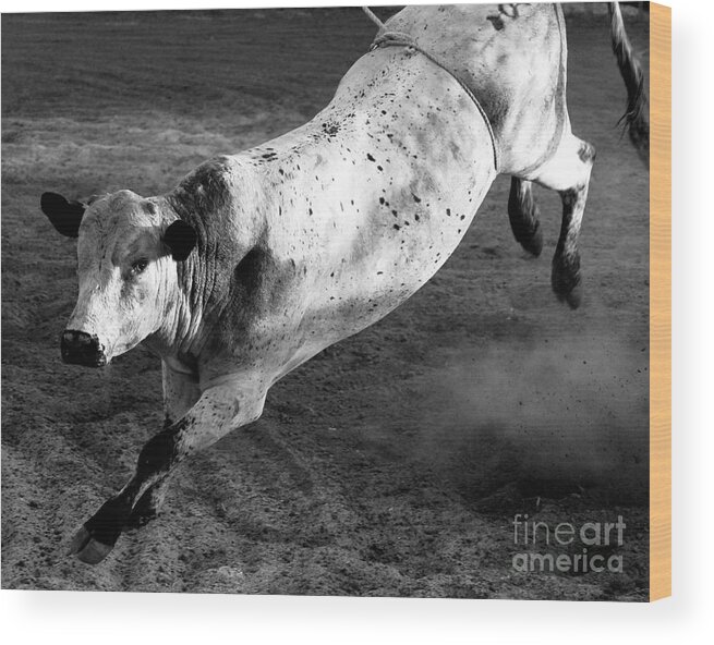 Denise Bruchman Wood Print featuring the photograph Rowdy Bucking Bull by Denise Bruchman