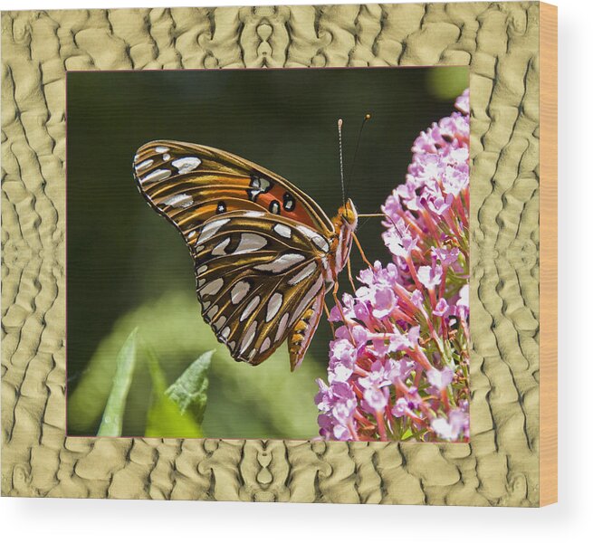 Nature Photos Wood Print featuring the photograph Sandflow Butterfly by Bell And Todd