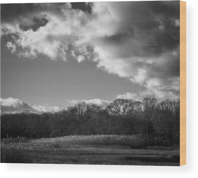 B&w Wood Print featuring the photograph Sandwich Marsh by Frank Winters