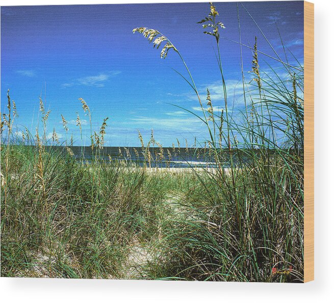 Ocean Wood Print featuring the photograph Sea Oat Dunes 11D by Gerry Gantt