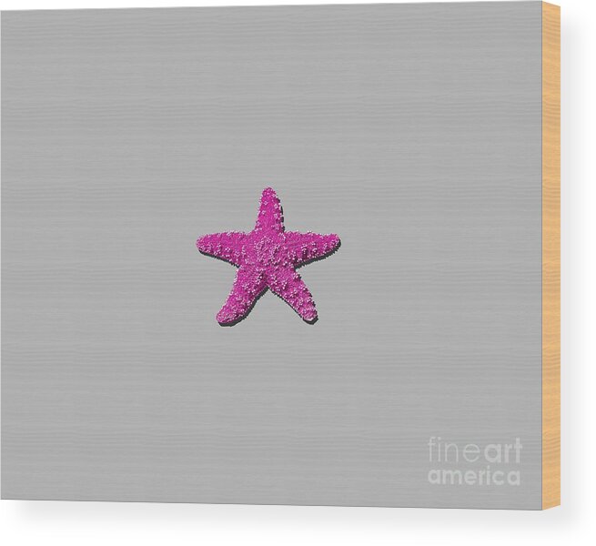 Starfish Wood Print featuring the photograph Sea Star Pink .png by Al Powell Photography USA