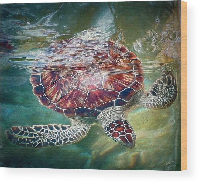 Turtle Wood Print featuring the photograph Sea Turtle Dive by Teresa Wilson