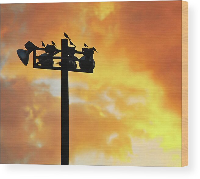 Birds Wood Print featuring the photograph Season Over by Scott Cordell