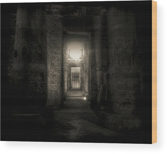 Abydos Wood Print featuring the photograph Seti I Temple Abydos by Nigel Fletcher-Jones