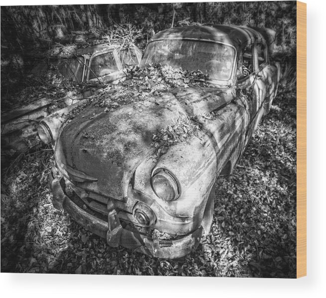 Shadow Wood Print featuring the photograph Shadow Classic by Alan Raasch