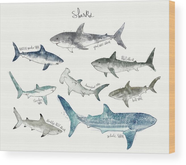 Sharks Wood Print featuring the painting Sharks - Landscape Format by Amy Hamilton