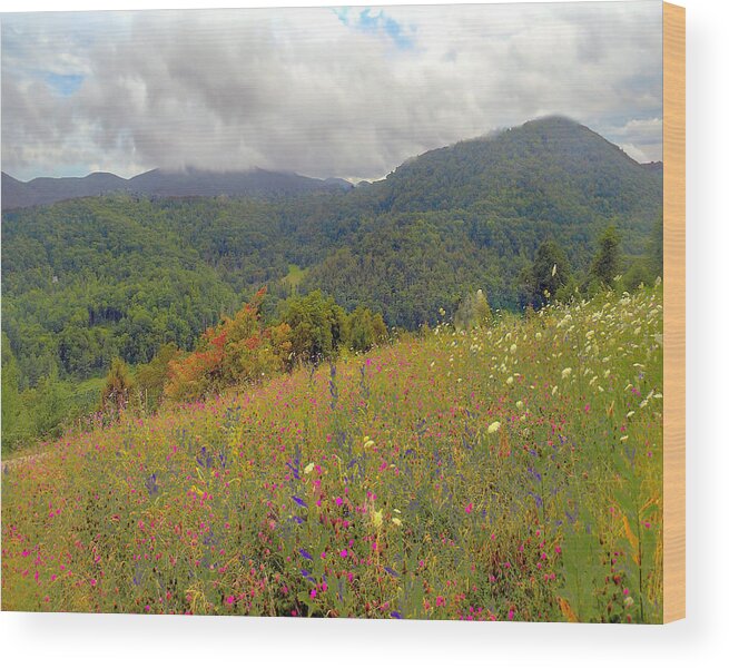 Landscape Wood Print featuring the photograph Smoky Mountains by Raymond Earley