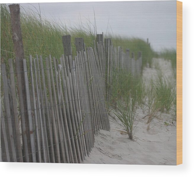 Sand Wood Print featuring the photograph Snow fence by Carla Neufeld