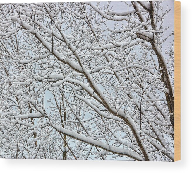 Snowy Branches Wood Print featuring the photograph Snowy Branches by Peg Runyan