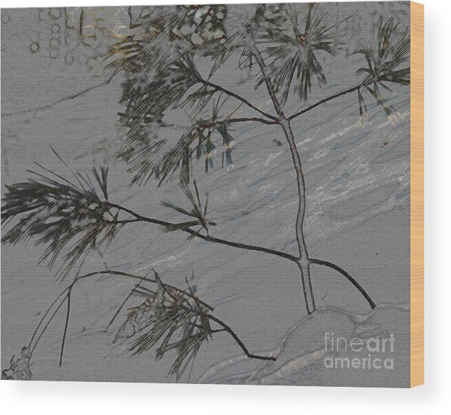 White Pine In Snow Wood Print featuring the photograph Solitary Life by Scott Heister