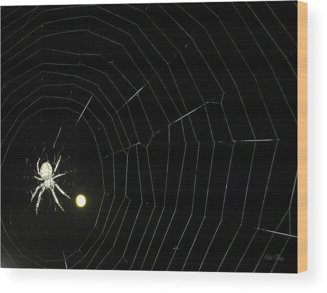 Autumn Wood Print featuring the photograph Spider Moon by Wild Thing