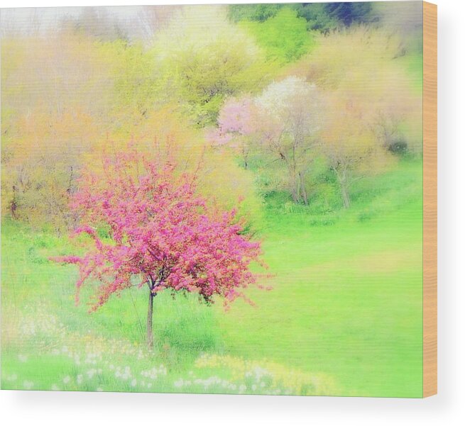 Dreamy Wood Print featuring the photograph spring at Highland Park by Jodie Marie Anne Richardson Traugott     aka jm-ART