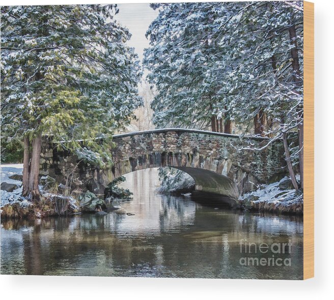Bridge Wood Print featuring the digital art Spring Snow at Elizabeth Park by Lorraine Cosgrove
