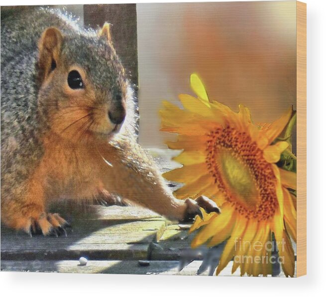 Squirrel Wood Print featuring the photograph Squirrel and Sunflower by Janette Boyd