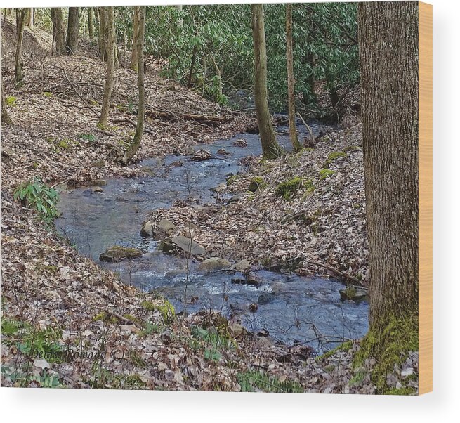 Water Wood Print featuring the photograph Stream Up The Hollow by Denise Romano