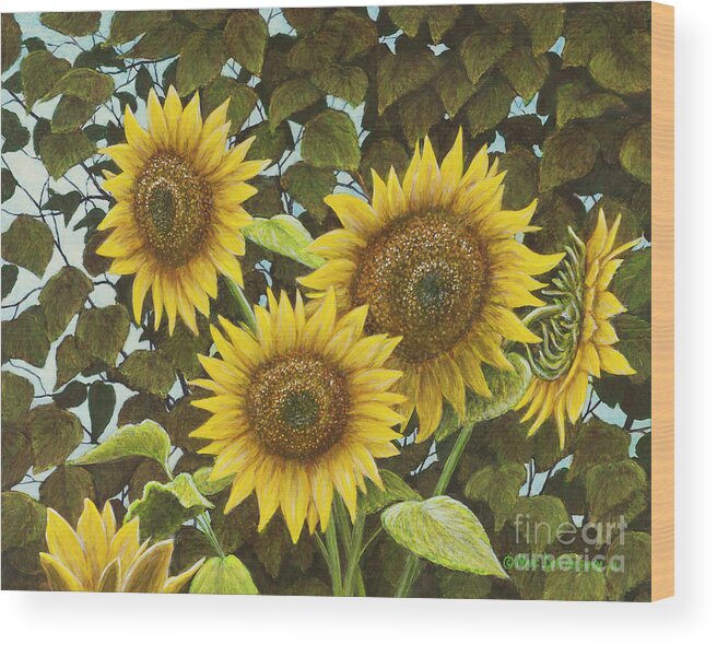 Sunflower Wood Print featuring the painting Summer Quintet by Marc Dmytryshyn