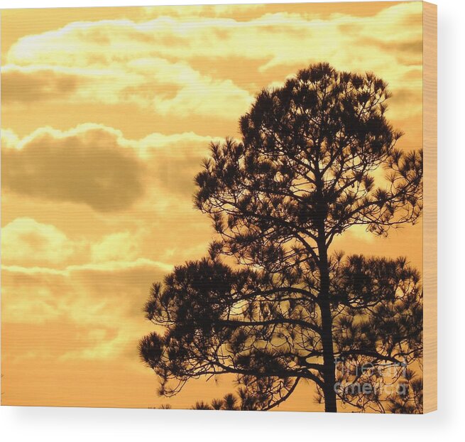 Sun Wood Print featuring the digital art Sunglow Pine by Jan Gelders