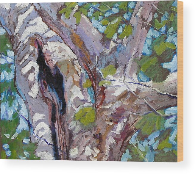 Tree Wood Print featuring the painting Sunlight on Sycamore by John Lautermilch