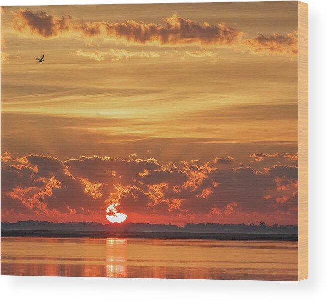 Kansas Wood Print featuring the photograph Sunrise at Cheyenne Bottoms 02 by Rob Graham