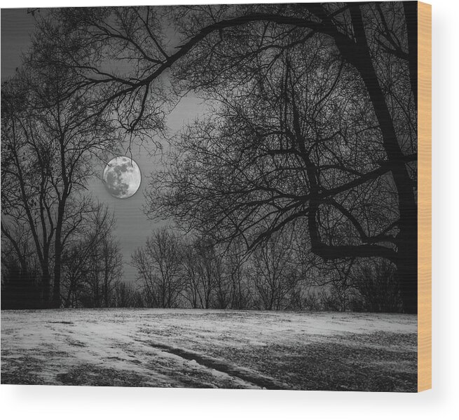 Michigan Wood Print featuring the photograph Super Blue Moon Rising BW by William Christiansen