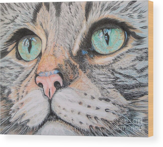Tabby Cat Wood Print featuring the drawing Tabby Cat by Yvonne Johnstone