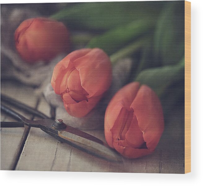 Spring Wood Print featuring the photograph Tending the Tulips by Teresa Wilson