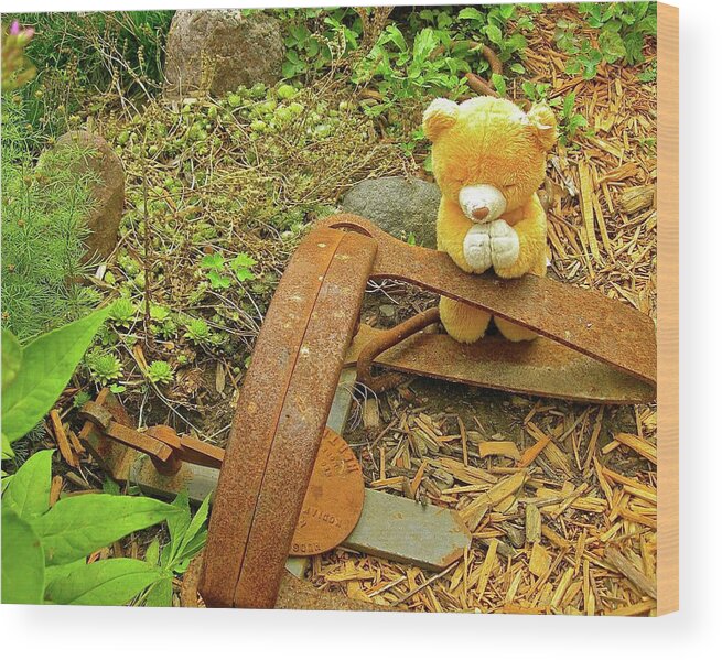 Bear Wood Print featuring the photograph Thank You For Saving Me From This Trap by Randy Rosenberger