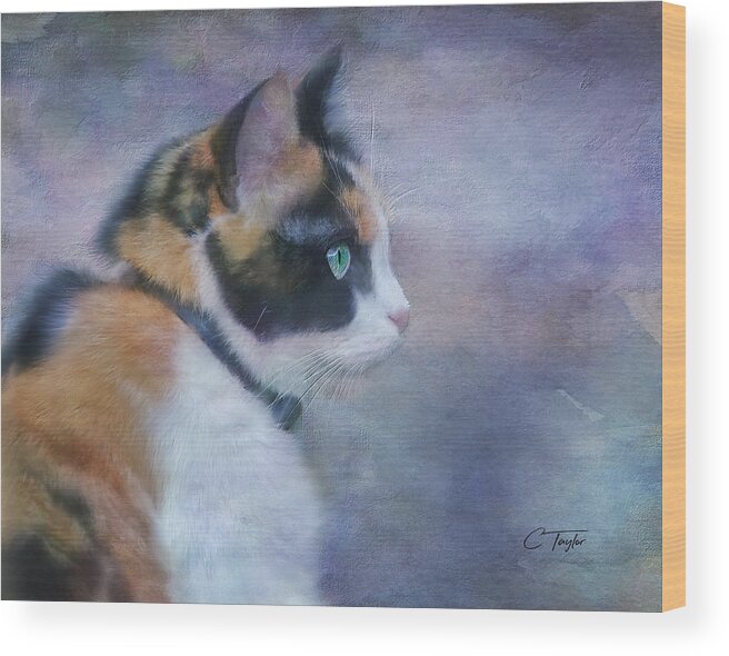Cat Wood Print featuring the digital art The Calico Staredown by Colleen Taylor