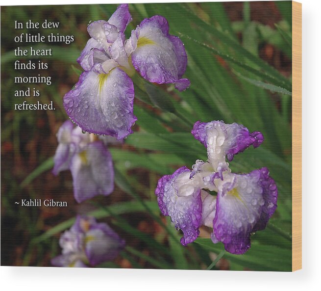 Iris Wood Print featuring the photograph The Dew of Little Things by Marie Hicks