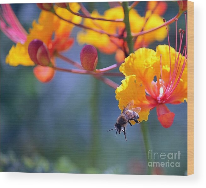 Bee Wood Print featuring the photograph The Drop Off by Kim Yarbrough