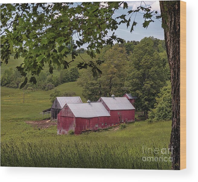 Farm Wood Print featuring the photograph The Jenne Farm II by Rod Best