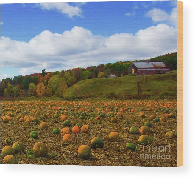 Pumpkins Wood Print featuring the photograph The Pumpkin Farm by Alice Mainville