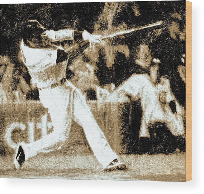 Baseball Wood Print featuring the photograph The Show IV by Terry Fiala