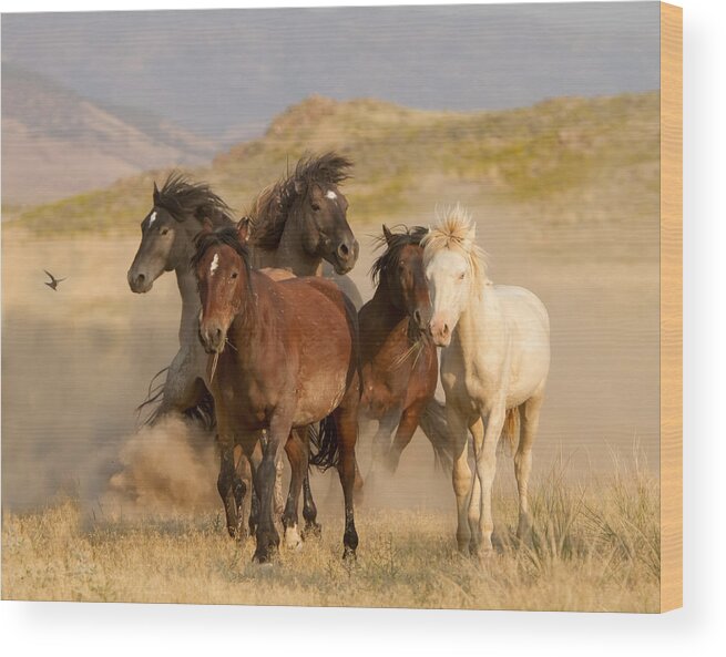 Wild Horse Wood Print featuring the photograph The Wild Bunch by Kent Keller