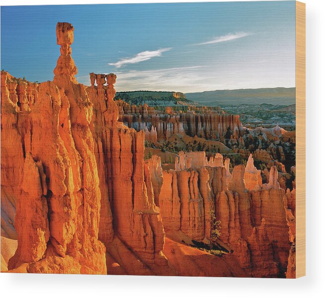 Bryce Canyon National Park Wood Print featuring the photograph Thor's Hammer #2 by Ed Riche