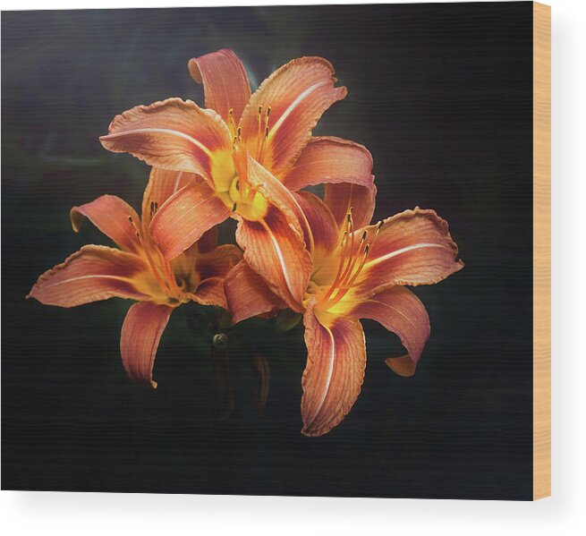Lily Wood Print featuring the photograph Three Lilies by Scott Norris