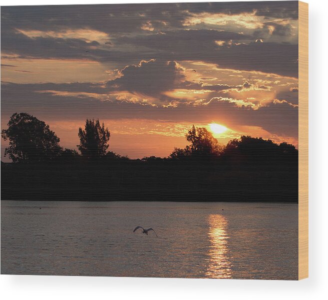 Sunrise Wood Print featuring the photograph Tranquil Braden River Sunrise by Richard Goldman