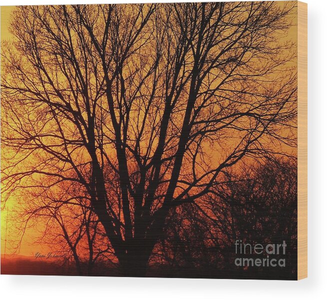 Sun Wood Print featuring the photograph Tree silhouette by Yumi Johnson