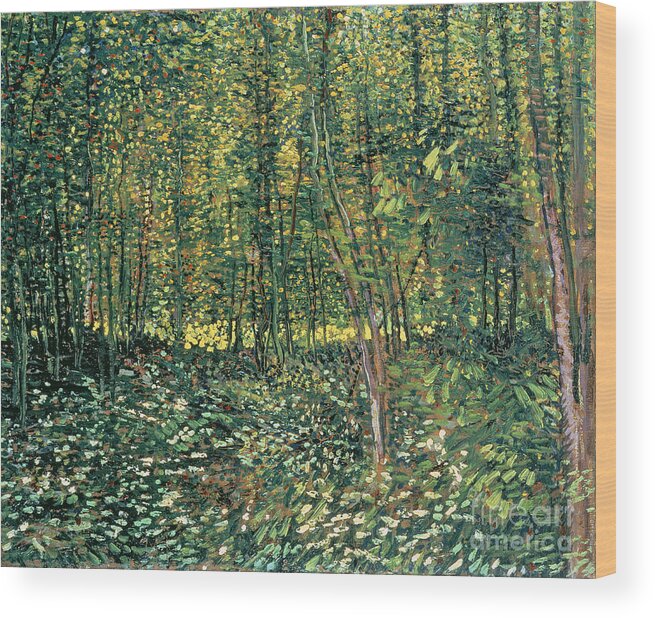 Van Gogh Wood Print featuring the painting Trees and Undergrowth by Vincent Van Gogh