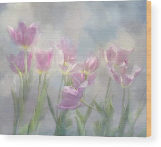 Pink Tulip Wood Print featuring the photograph Tulip Dreams by Ann Bridges