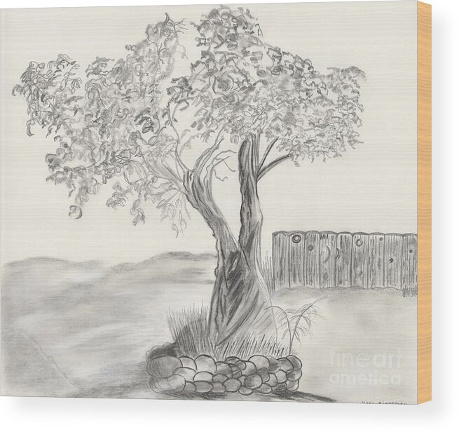 Black And White Wood Print featuring the drawing Twisted Trees by Mary Zimmerman