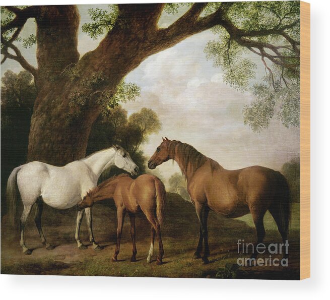 Two Wood Print featuring the painting Two Mares and a Foal by George Stubbs