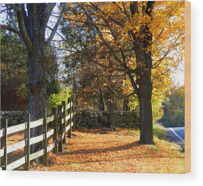 Poconos; Poconos Autumn Fall; Poconos Fall Autumn; Country; Country Road; Country Roads; Mountain Country; Stone Wall Wood Print featuring the photograph Two Trees by Bruce Brandli