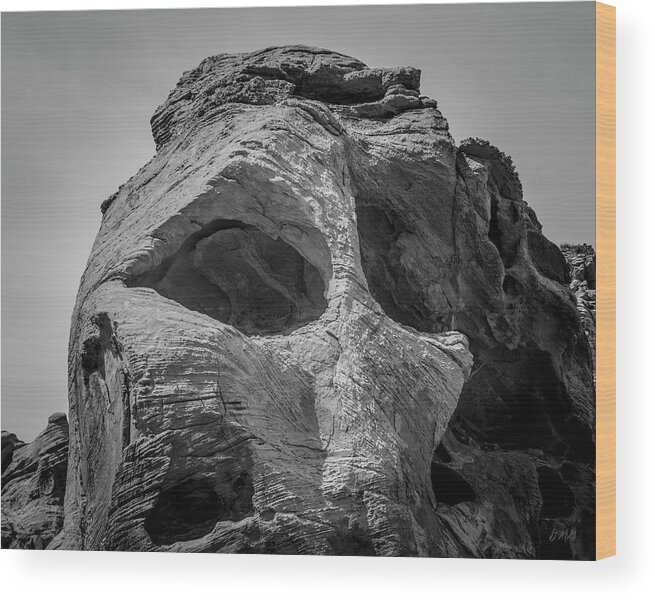 Nevada Wood Print featuring the photograph Valley of Fire IX BW by David Gordon