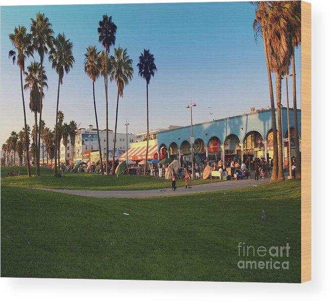 Venice Beach Wood Print featuring the photograph Venice Beach by Kelly Holm