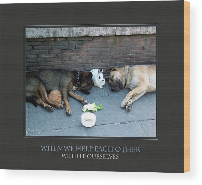Motivational Wood Print featuring the photograph When We Help Each Other by Donna Corless