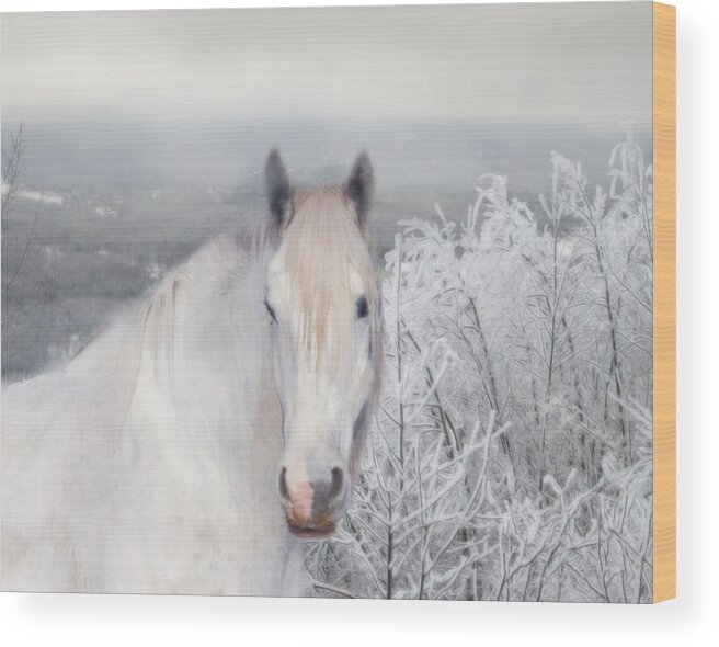 White Wood Print featuring the photograph White Beauty by Michele A Loftus