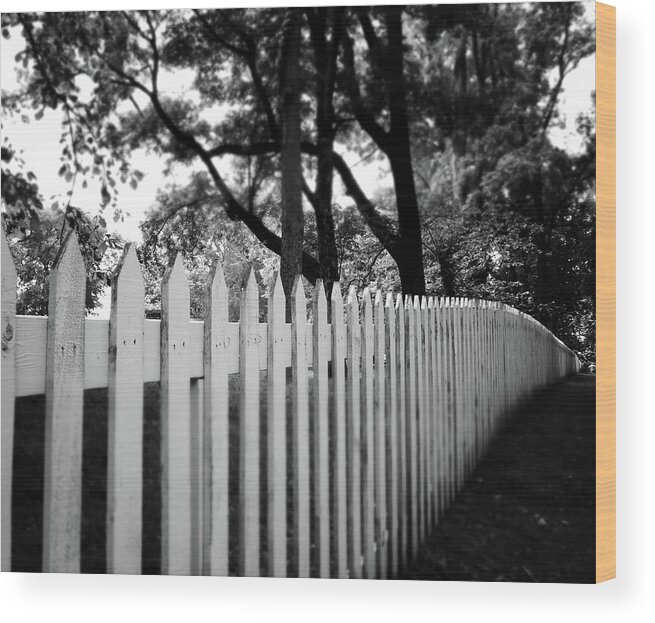 Picket Fence Wood Print featuring the photograph White Picket Fence- by Linda Woods by Linda Woods